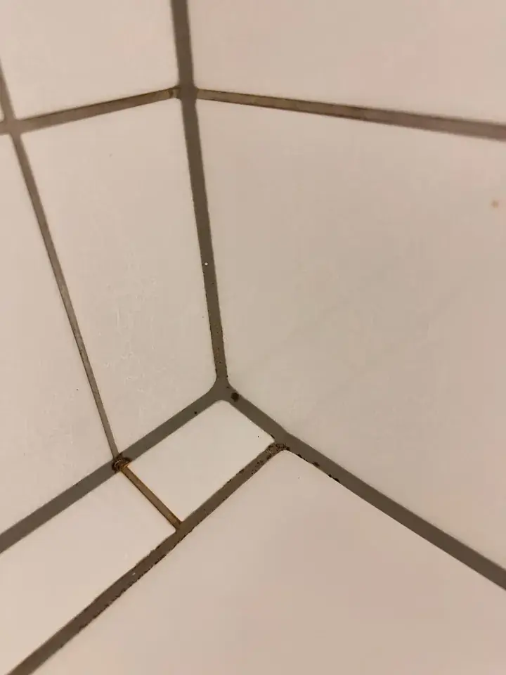 Helle Wandplatten in einer Raumecke mit grauen Fugen und dunklen Flecken, unten ein Plattenstück mit braunem Streifen