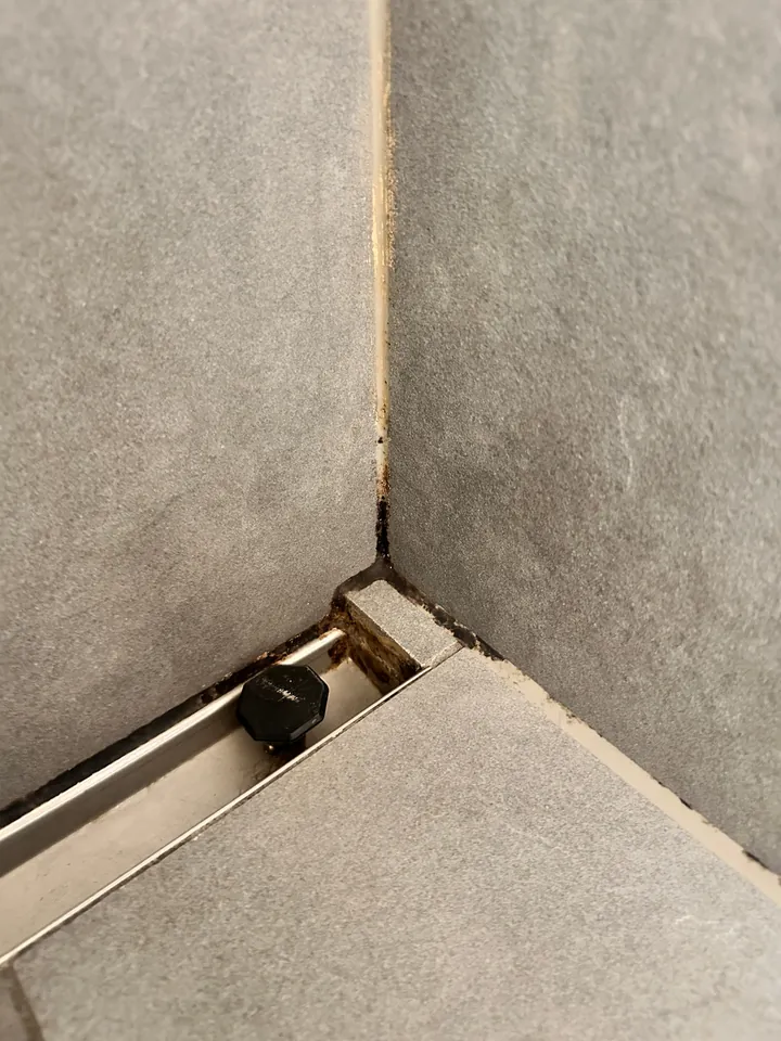 Duschecke mit grauen Wandplatten und Ablaufrinne mit schwarzem Teil, die Fuge in der Ecke ist braun bis schwarz verfärbt