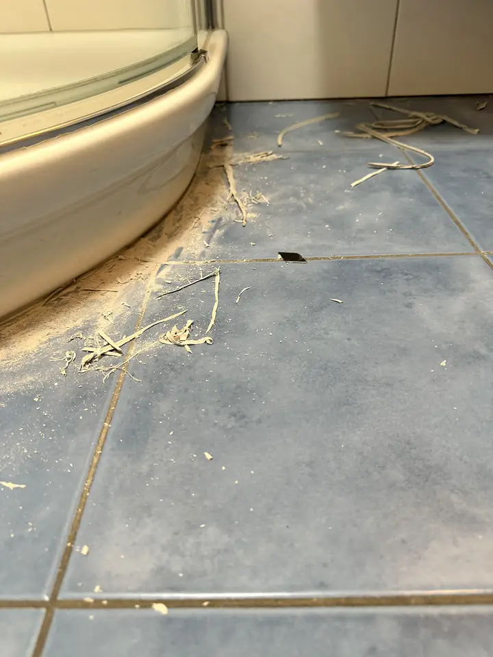 Runde weisse Duschwanne auf blauen Bodenplatten, entlang der Wanne liegen Reste und Staub auf dem Boden