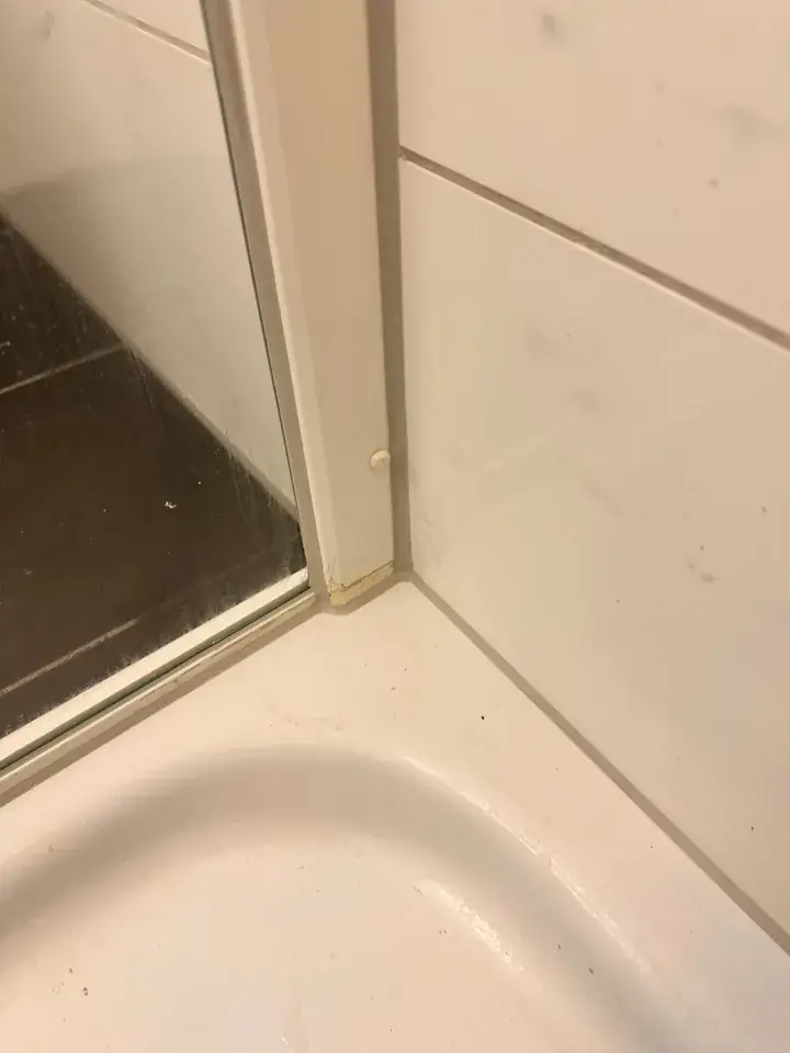 Ecke aus weisser Duschtasse, Glasscheibe mit hellem Profil und weissen Wandplatten mit schmaler grauer Linie an der Kante