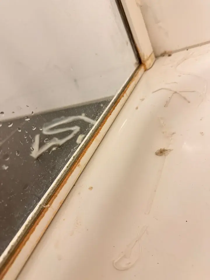 Weisse Duschtasse neben einer Glasscheibe mit orangebraunem Rand am Metallprofil; auf der Wanne liegen Schmutzreste