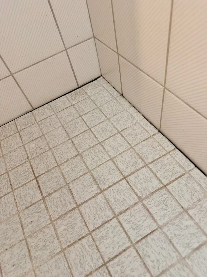 Duschecke mit hellem Mosaikboden und gefliesten Wänden, am Übergang zwischen Boden und Wand verläuft ein dunkler Spalt
