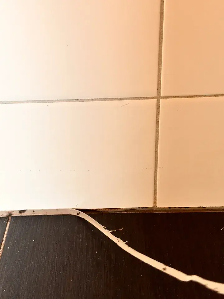 Weisser Silikonstreifen löst sich am Übergang von hellen Wandplatten zum dunklen Boden und liegt lose auf den Platten
