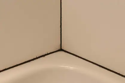 Silikonfugen vorher mit schwarze Schimmel