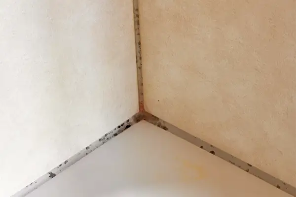 Schimmel in Silikonfugen in der Dusche